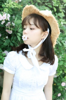 天狼星行动